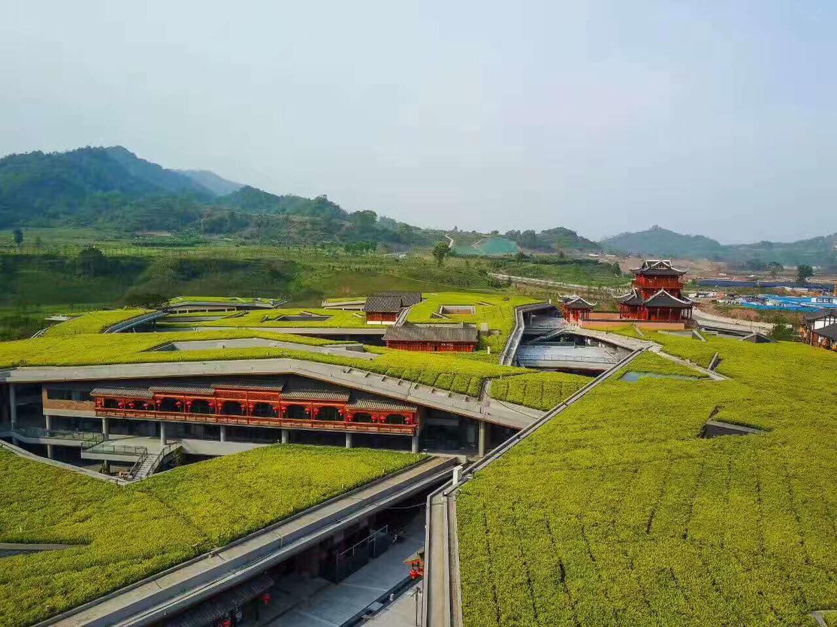 Emeis Van Stars Mountain Lodge Emeishan Exterior photo